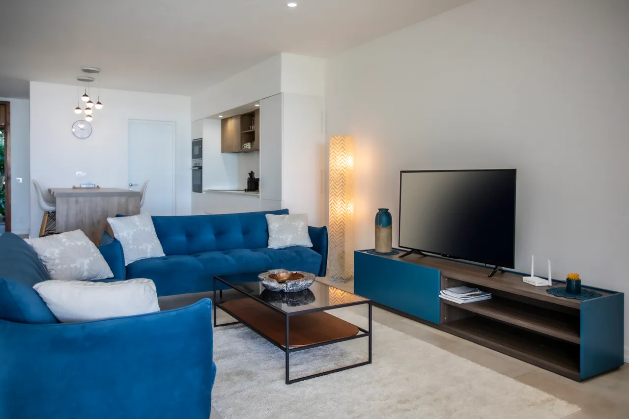 Espace de vie avec canapés en velours et grande télévision. Accès à la terrasse.
