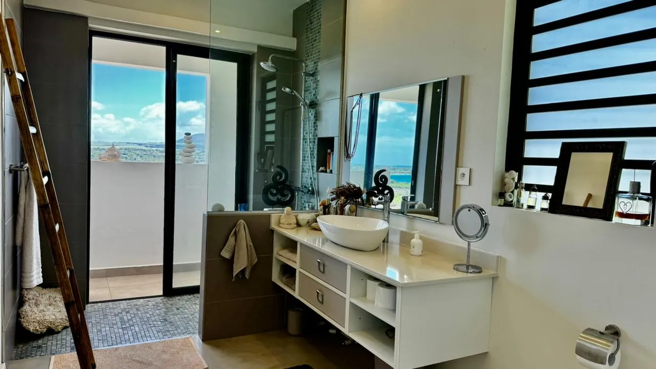 Gris clair des murs dans une salle de bain moderne et spacieuse. Douche à l'italienne avec vue sur la mer.