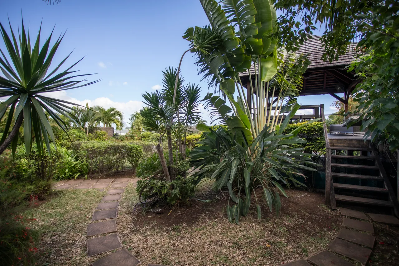 Accès à un jardin tropical bien entretenu depuis la galerie.  
Sentiers en pierre menant à des zones de verdure.  
Plantes exotiques créent une ambiance apaisante autour de l'espace extérieur.  
Vue sur les feuillages depuis la proximité de la villa.
