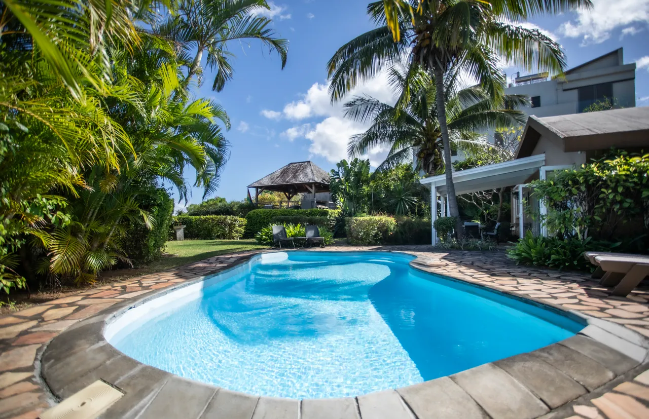 Espace extérieur avec piscine entourée de végétation tropicale.  
Le gazebo en bois offre un coin d'ombre près de la piscine.  
Chaises longues disposées autour de la piscine pour la détente.  
La lumière naturelle illumine l'espace grâce à une disposition ouverte.  
Sentiers en pierre permettent d'accéder facilement à la piscine.