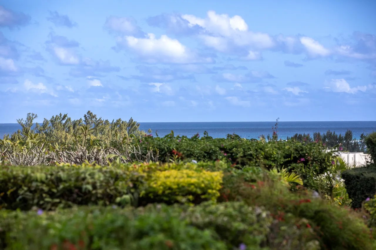 Vue depuis la villa offrant un aperçu de l'océan et du jardin.  
Végétation variée ajoute de la couleur au paysage environnant.  
Ciel dégagé avec quelques nuages, créant une atmosphère sereine.  
Espace extérieur bien entretenu mettant en valeur la nature locale.  
Distance visible jusqu'à la mer, renforçant le cadre paisible.