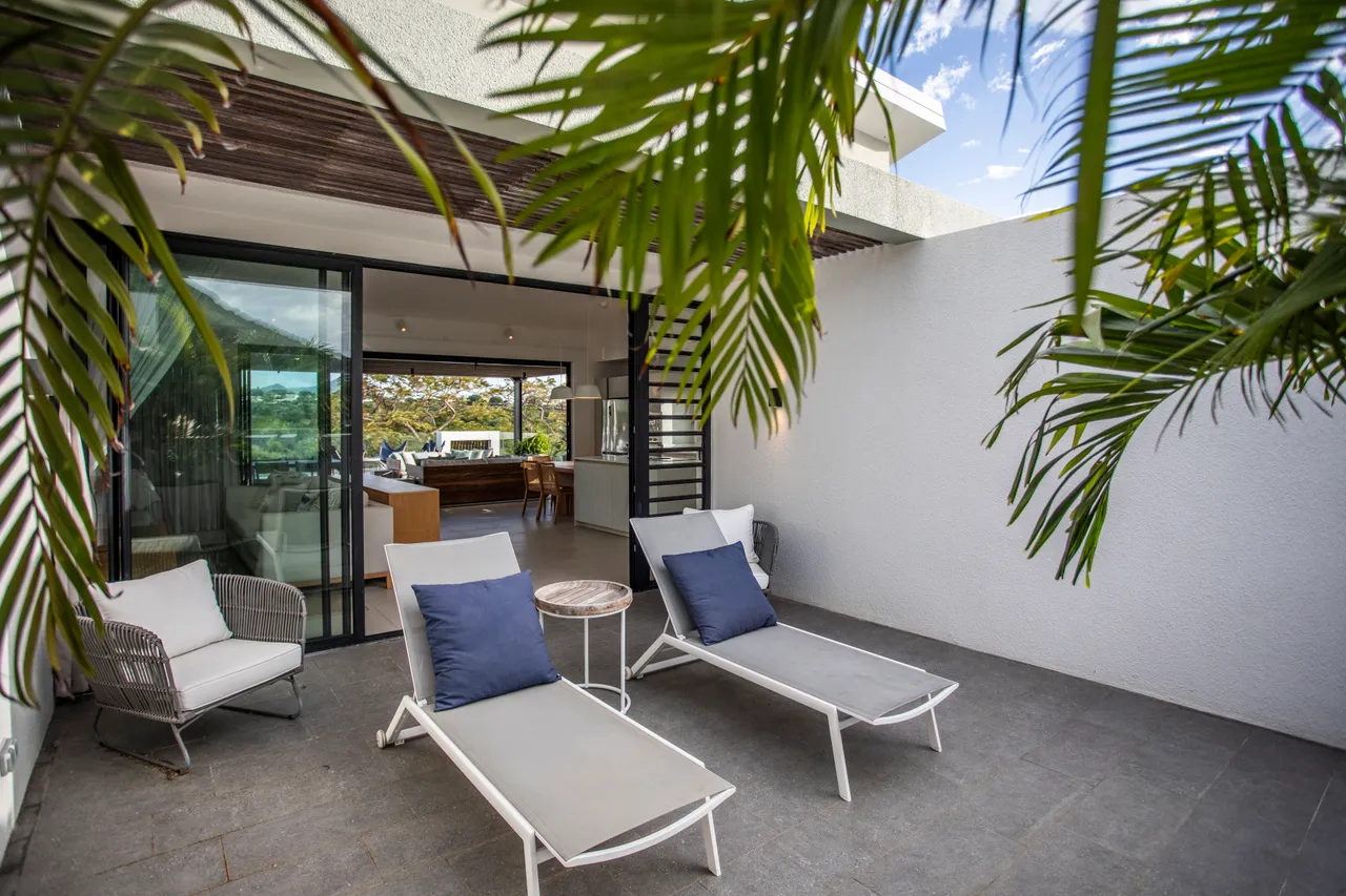 Terrasse en dalles grises avec chaises longues et vue dégagée sur l'extérieur. Plantes verdoyantes créent une atmosphère naturelle autour de l'espace. Accès direct à l'intérieur depuis l'extérieur. Coin détente lumineux et ouvert, favorisant la relaxation.
