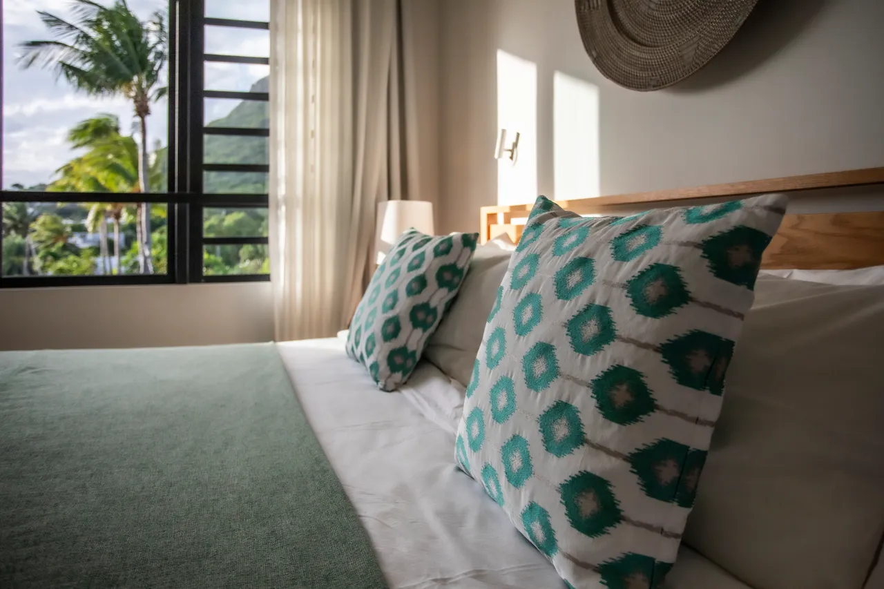 Chambre avec lit double et coussins aux motifs géométriques. 

Fenêtre panoramique offrant une vue sur la végétation environnante. 

Tons clairs des murs créant une ambiance relaxante dans l'espace. 

Éclairage d'appoint ajoutant une touche chaleureuse au décor. 

Rangement intégré optimisant l'espace tout en restant discret.