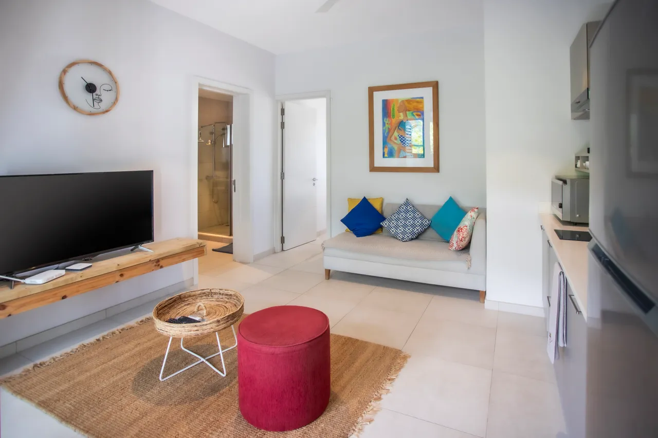 Espace de vie avec un canapé et des coussins colorés.  
Télévision sur un meuble en bois apportant une touche naturelle.  
Rangement pratique intégré à la cuisine moderne adjacente.  
Table basse en osier ajoutant une dimension texturée à l'espace.  
Accès direct à la salle de bain depuis le coin salon.  
Éclairage naturel grâce aux fenêtres offrant une