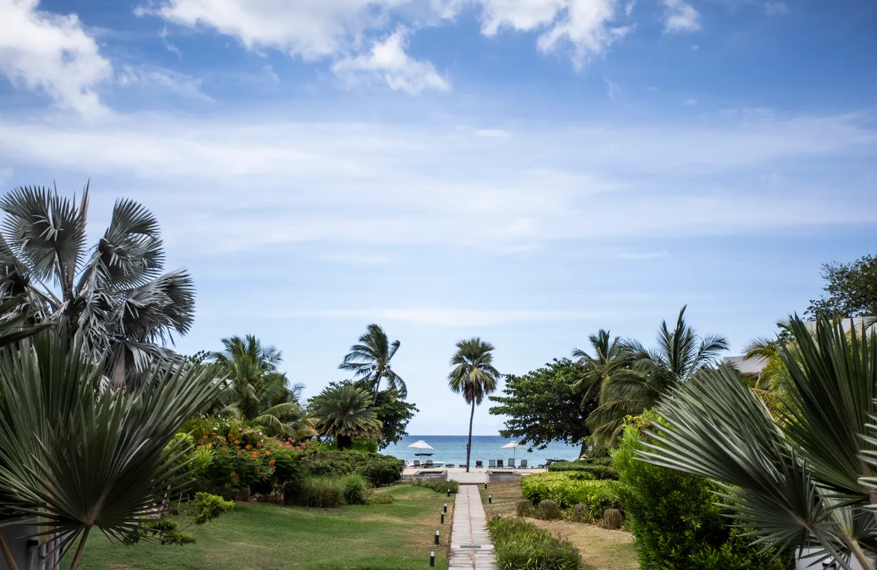 Chemin de pierre menant à la plage avec vue sur l'océan.  
Végétation tropicale des deux côtés offrant un paysage naturel.  
Espace dégagé permettant une circulation fluide vers la plage.  
Palmiers ajoutant une touche exotique au cadre extérieur.  
Ambiance sereine avec le bruit des vagues en arrière-plan.