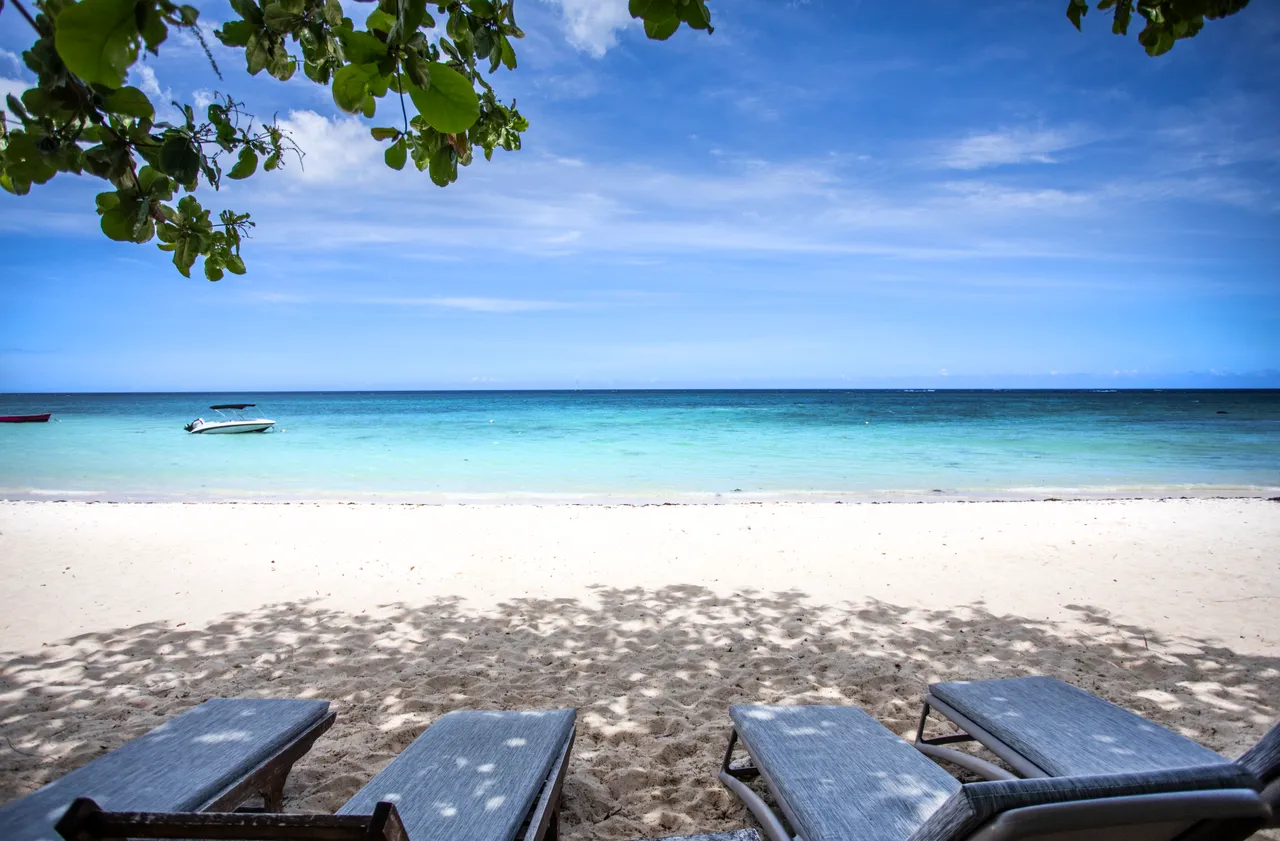 Plage de sable fin bordée d'eaux cristallines et calmes.  
Chaises longues disposées à l'ombre des arbres pour se relaxer.  
Vue dégagée sur l'horizon maritime et le ciel bleu.  
Ambiance tranquille propice à la détente au bord de l'eau.  
Bateau à moteur amarré, ajoutant une touche maritime.