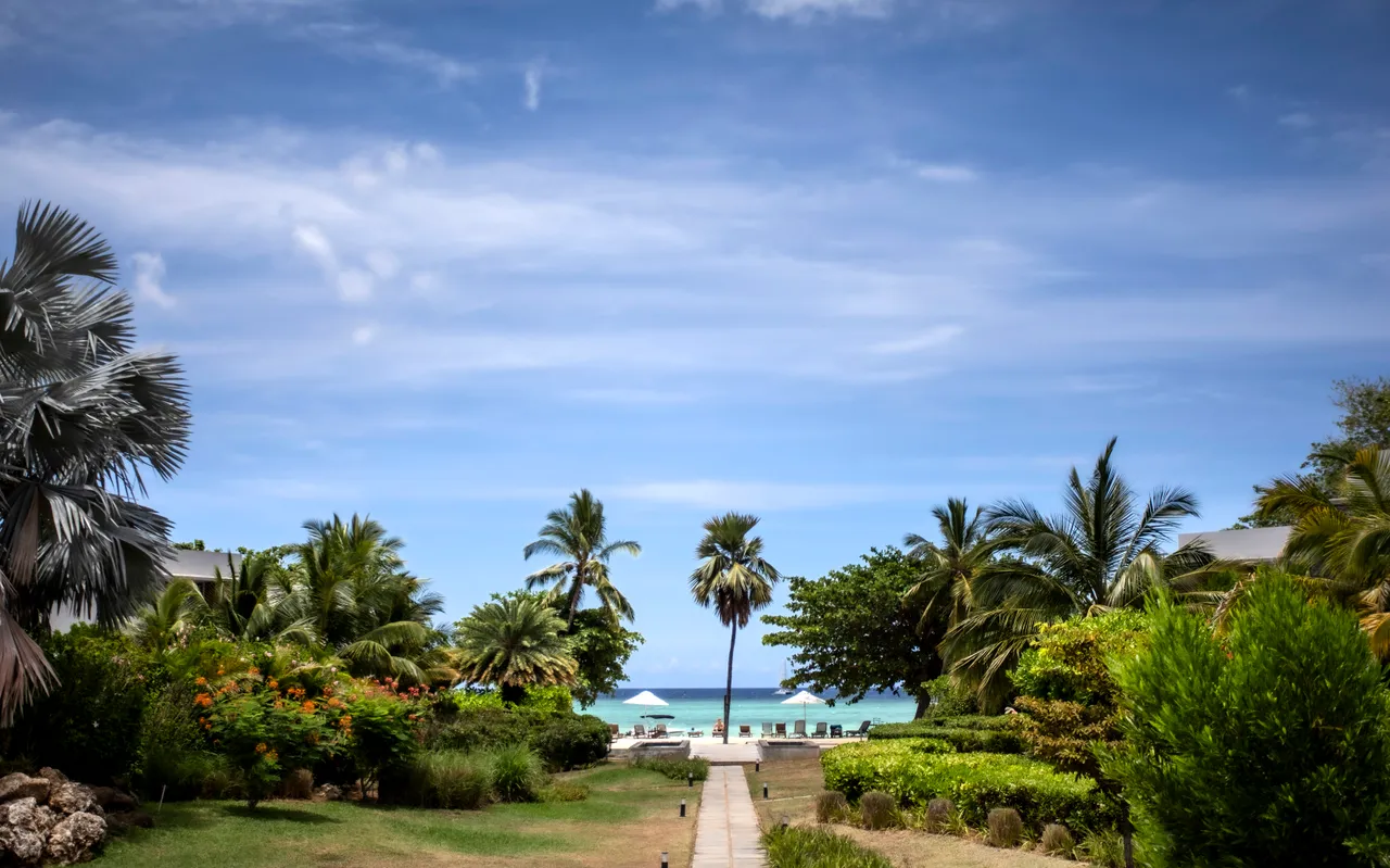 Allée menant directement à la plage, entourée de verdure tropicale.  
Palmiers ajoutant un aspect naturel au paysage ensoleillé.  
Espace dégagé offrant une vue sur l'océan et le ciel.  
Végétation variée créant une ambiance sereine et accueillante.  
Chemins en pierre facilitant l'accès aux différents espaces extérieurs.