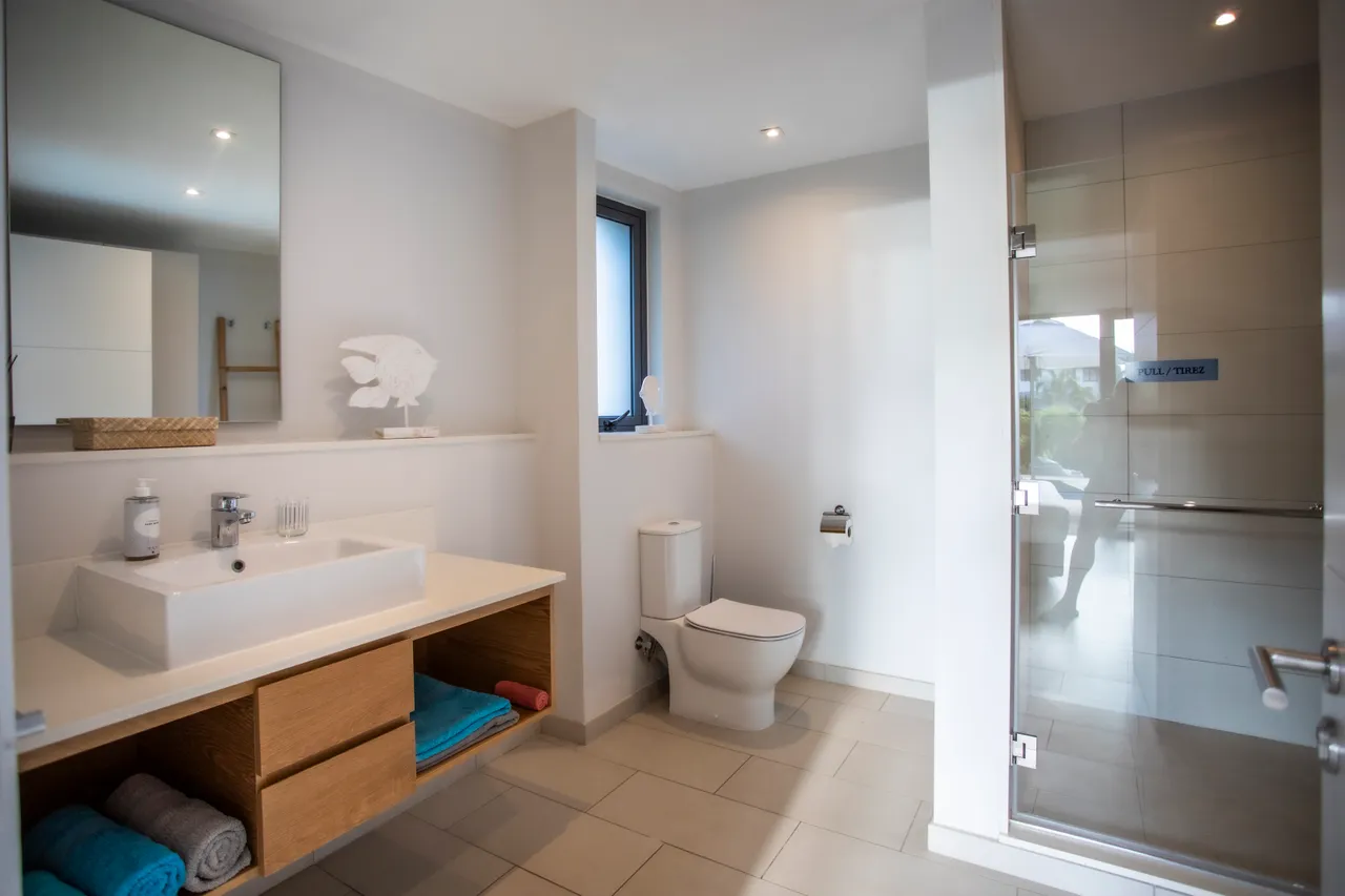 Salle de bain avec meuble en bois et douche à l'italienne. Éclairage naturel par la fenêtre. Rangement sous le lavabo.