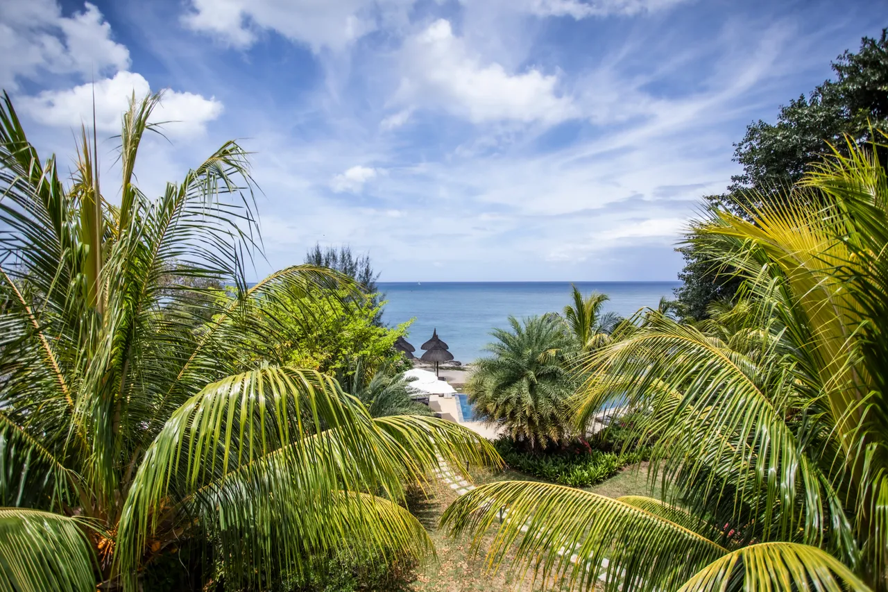 Terrasse avec vue sur la mer, entourée de palmiers et de verdure. Éléments naturels créent une atmosphère apaisante.