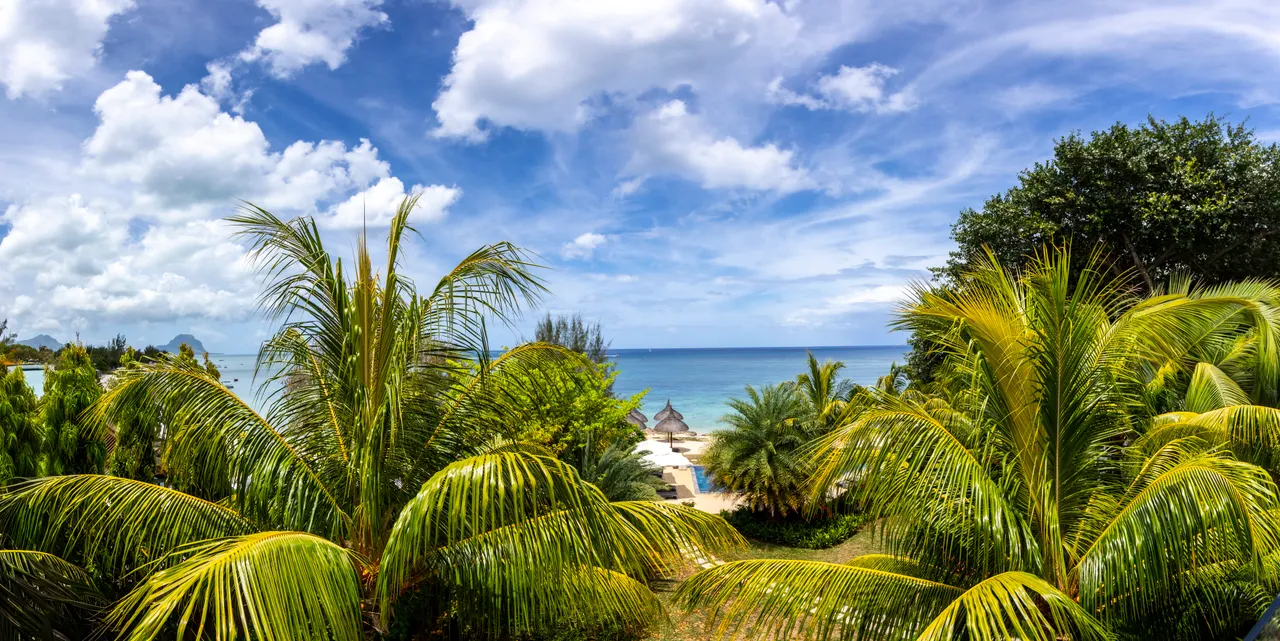 Vue depuis la terrasse, avec palmiers et mer en arrière-plan. Ciel partiellement nuageux.