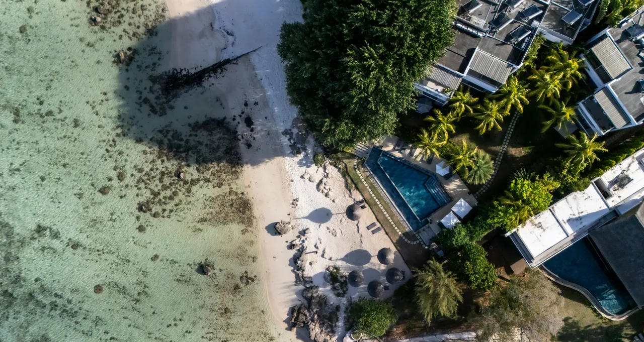Espace piscine avec chaises longues et ombre de palmiers. Accès direct à la plage.