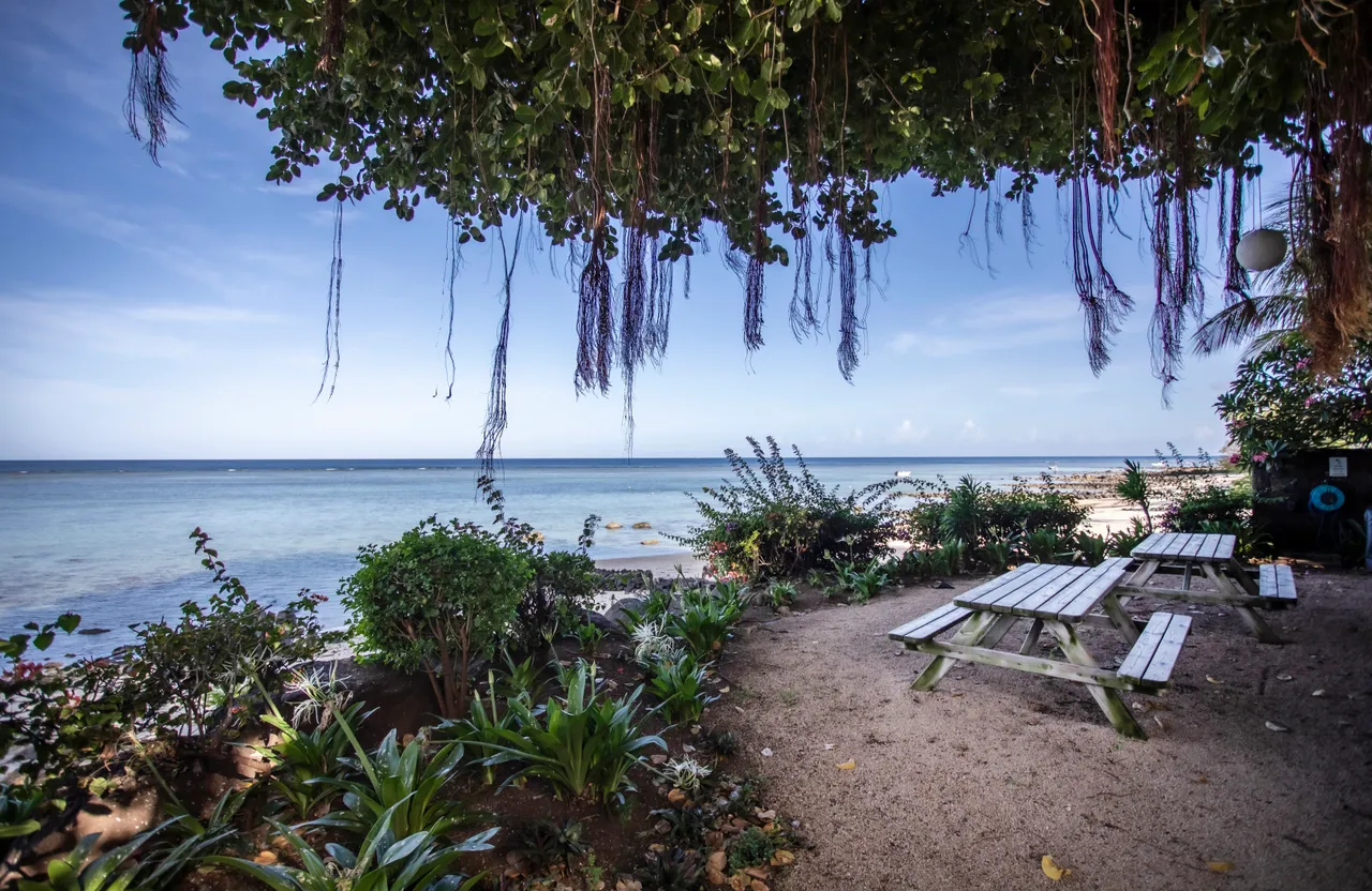 Espace extérieur avec coin repas en bois et vue sur la mer. Végétation tropicale environnante.