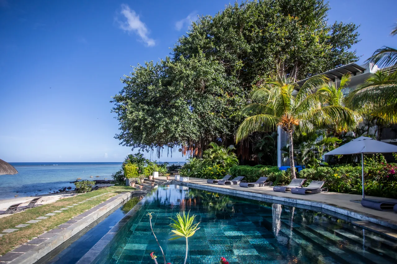 Espace extérieur avec piscine et chaises longues. Végétation tropicale et accès direct à la plage.