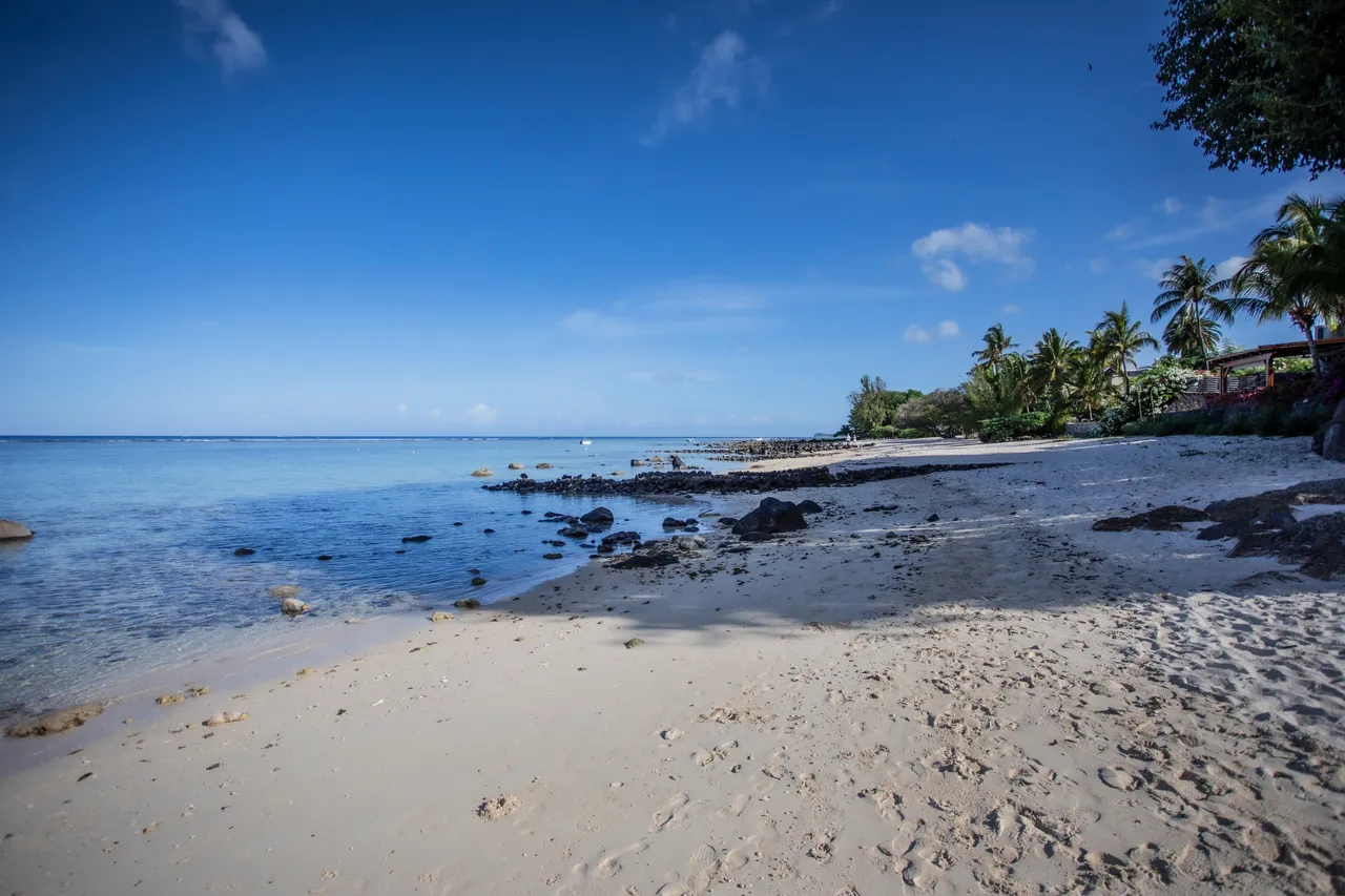 Sable fin et eaux claires, accès direct à la plage depuis le logement. Végétation tropicale en arrière-plan.