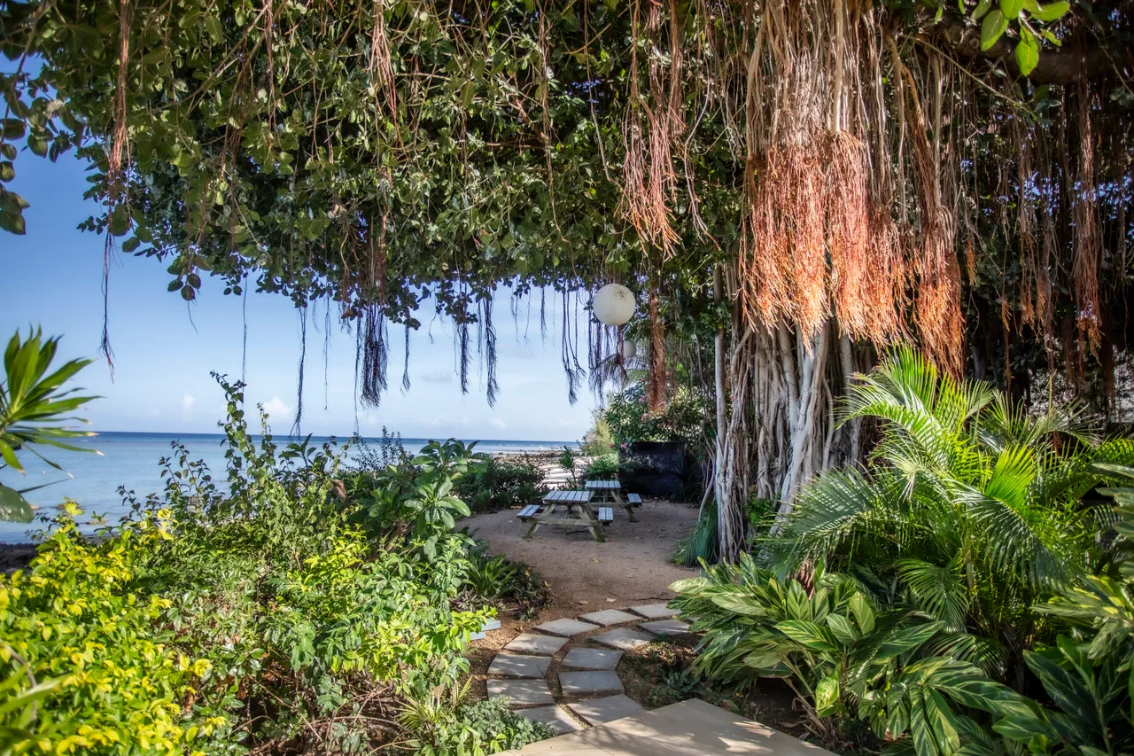 Allée en pierre menant à un coin repas ombragé sous un arbre. Végétation tropicale environnante.