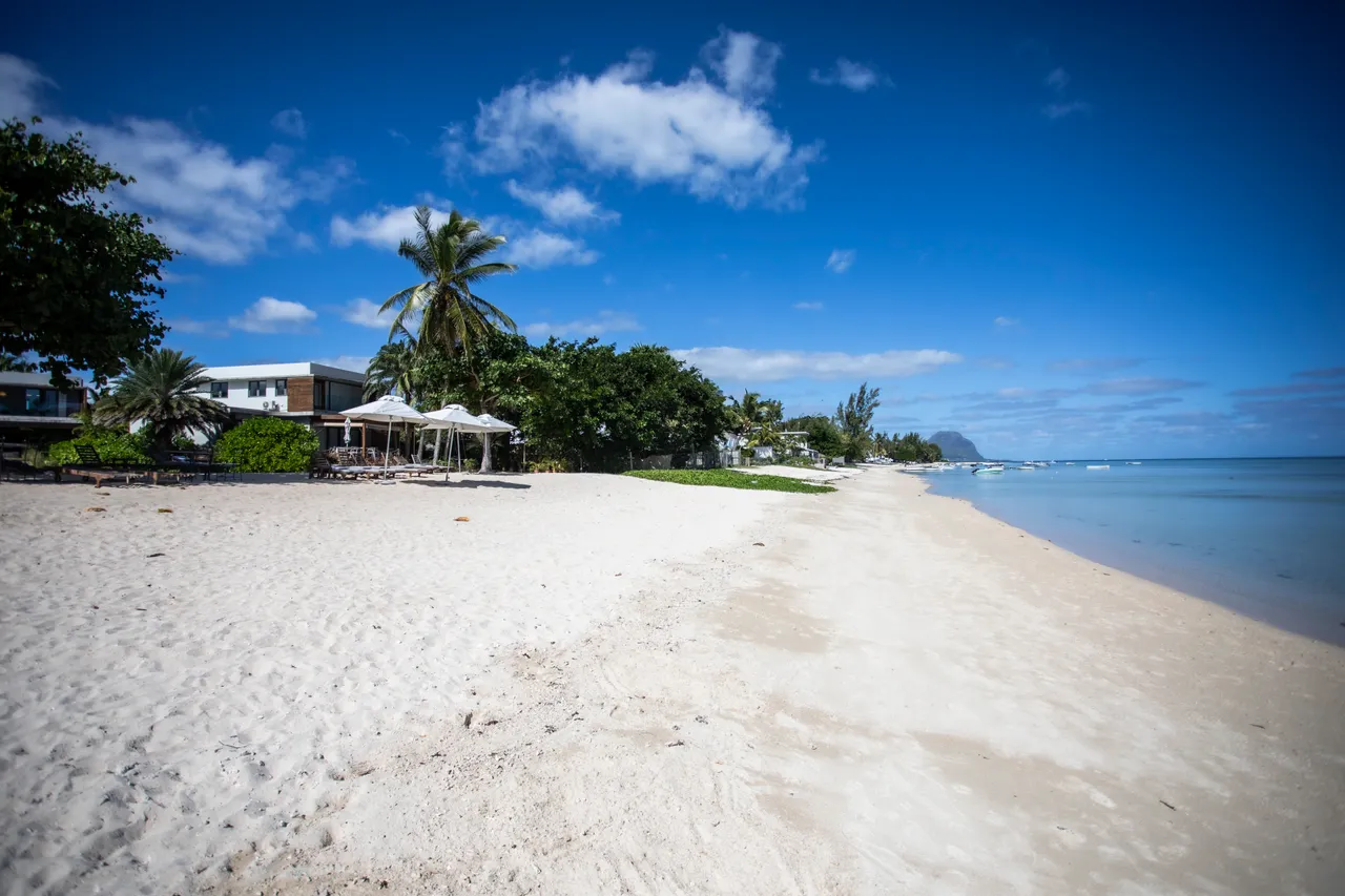Plage de sable fin avec palmiers et chaises longues disponibles.  

Espace tranquille le long de la mer pour la baignade et la détente.  

Végétation côtière créant une ambiance naturelle près de l'eau.  

Accès direct à la mer depuis le jardin adjacent à la villa.  

Vue dégagée sur l'horizon et les vagues de l'océan