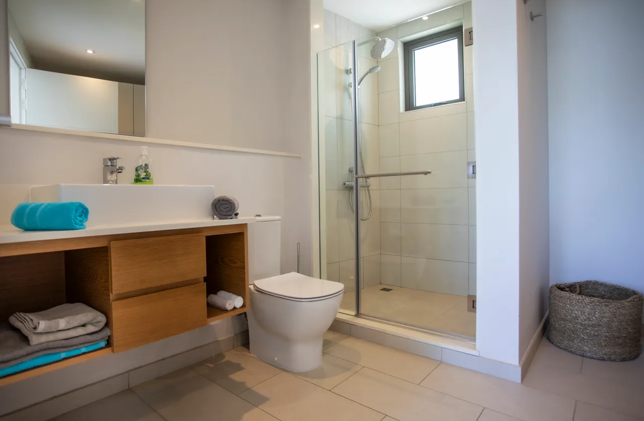 Salle de bain avec douche vitrée et rangement en bois.  

Surface carrelée facile à entretenir et lumineuse.  

Linge de bain et accessoires organisés sur étagères ouvertes.  

Éclairage moderne intégrant des éléments fonctionnels et esthétiques.  

Fenêtre offrant un bon éclairage naturel à l'espace.