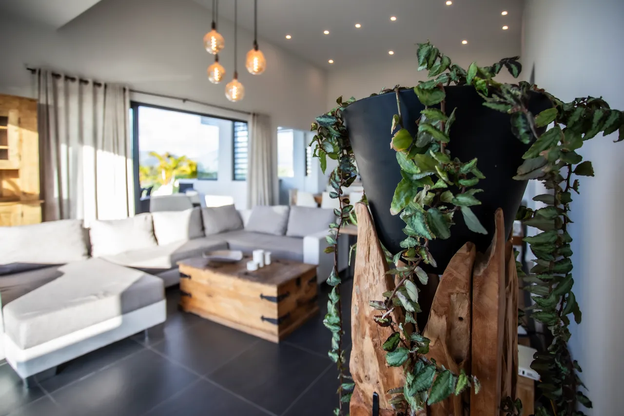 Espace salon avec canapé modulable et décor en bois. Plantes vertes ajoutent une touche naturelle.