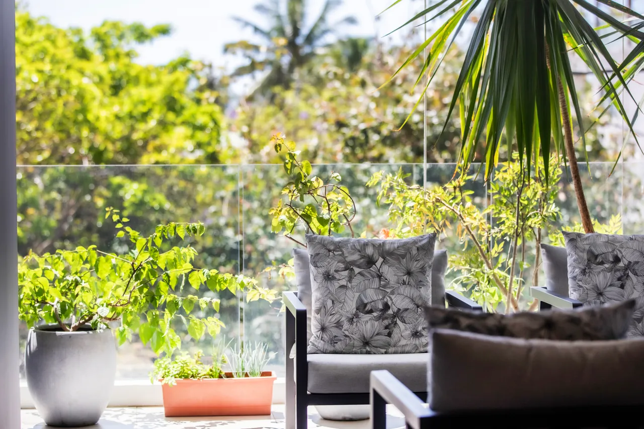 Espace extérieur avec sièges confortables et plantes en pot. Vue sur la verdure environnante.