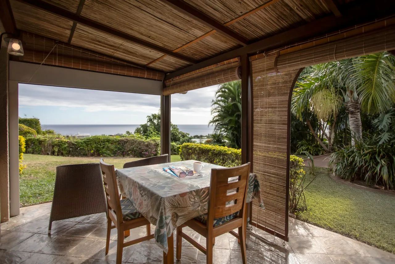 Véranda ombragée avec mobilier et vue sur le jardin verdoyant.