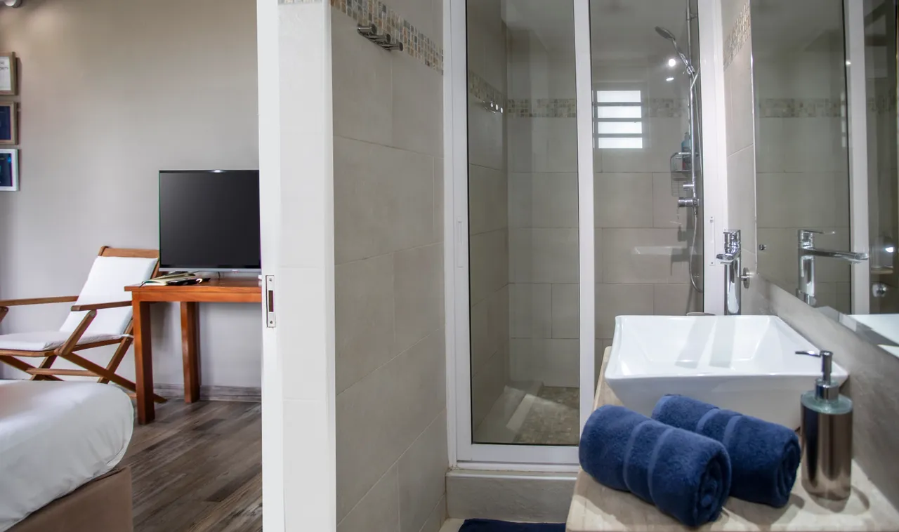 Salle de bain moderne avec douche vitrée et lavabo design. 

Éclairage adapté avec miroir intégré et serviettes soigneusement disposées. 

Espace pratique avec meuble de rangement et décoration sobre. 

Vue sur la chambre avec mobilier en bois et télévision.