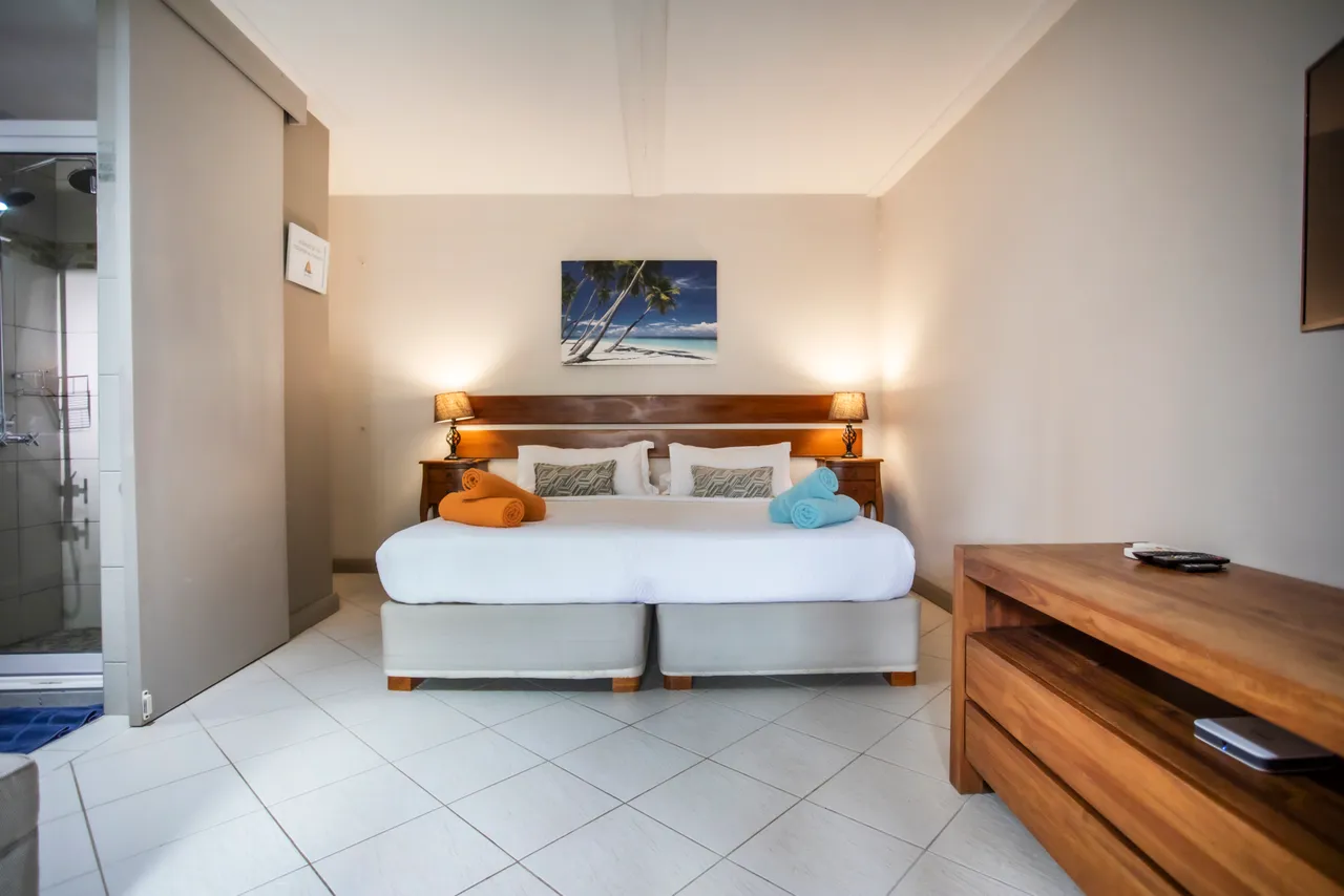 Chambre spacieuse avec lits jumeaux, éclairage doux et décor sobre. Mobilier en bois clair et télévision à écran plat. Salle de bain attenante avec douche et aménagement pratique.