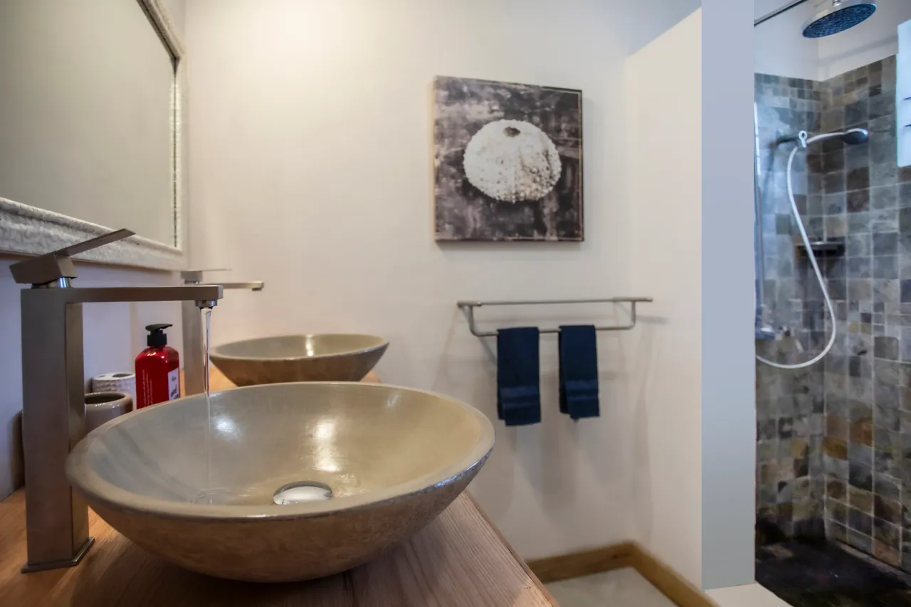 Salle de bain avec deux vasques en pierre et douche à l'italienne.
