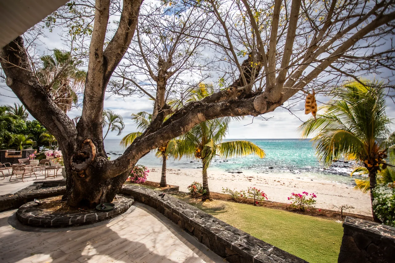 Terrasse spacieuse avec vue sur la plage et la mer. Arbres offrant de l'ombre et un cadre naturel.
