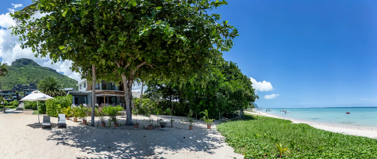 Tons de vert et d'ombre sous les arbres, avec un accès direct à la plage.