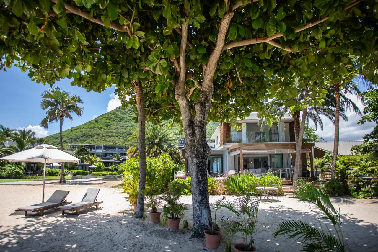 Jardin avec arbres ombrageant des chaises longues et un parasol.