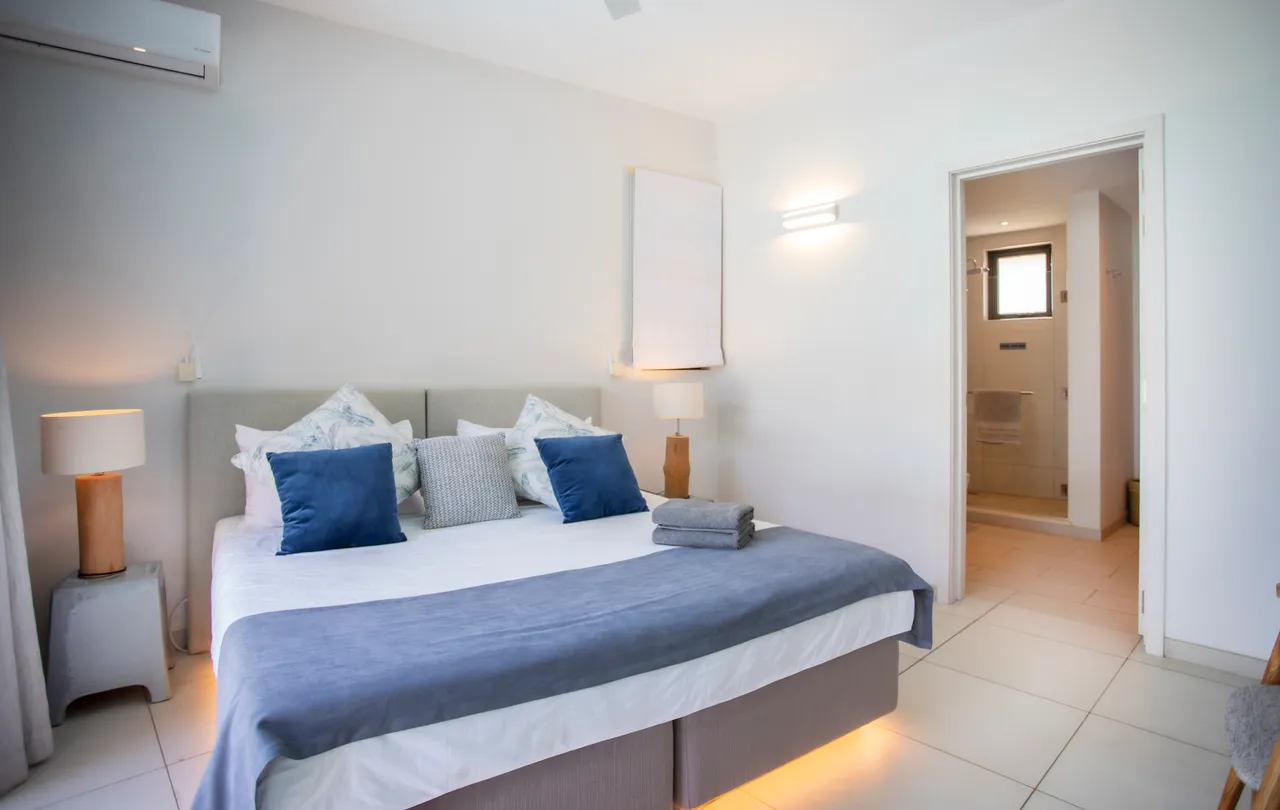 Chambre avec lit double et décor sobre. Éclairage naturel grâce aux fenêtres. Accès à une salle de bain attenante. Linge de lit assorti et meubles en bois. Ambiance apaisante et fonctionnelle.