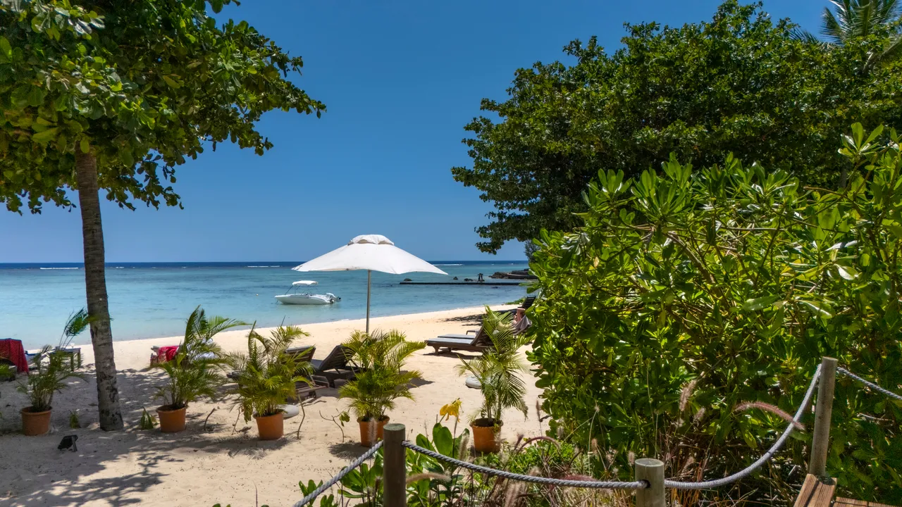 Accès direct à la plage avec parasol et chaises longues. Végétation tropicale créant une atmosphère naturelle. Espace extérieur propice à la détente au bord de l'eau.
