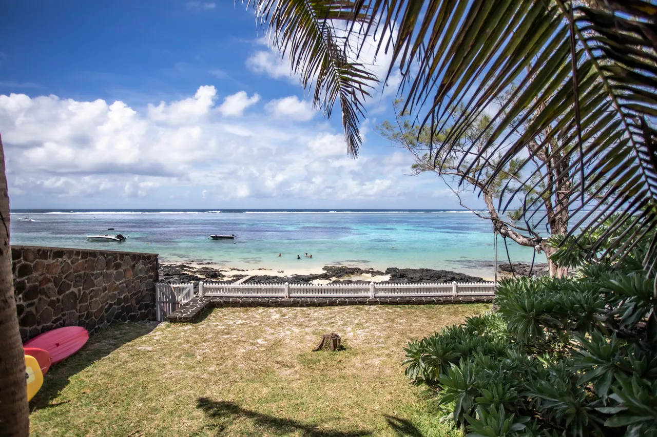 Teintes bleuâtres et vertes, vue sur la mer depuis le jardin. Espace extérieur avec pelouse et végétation.