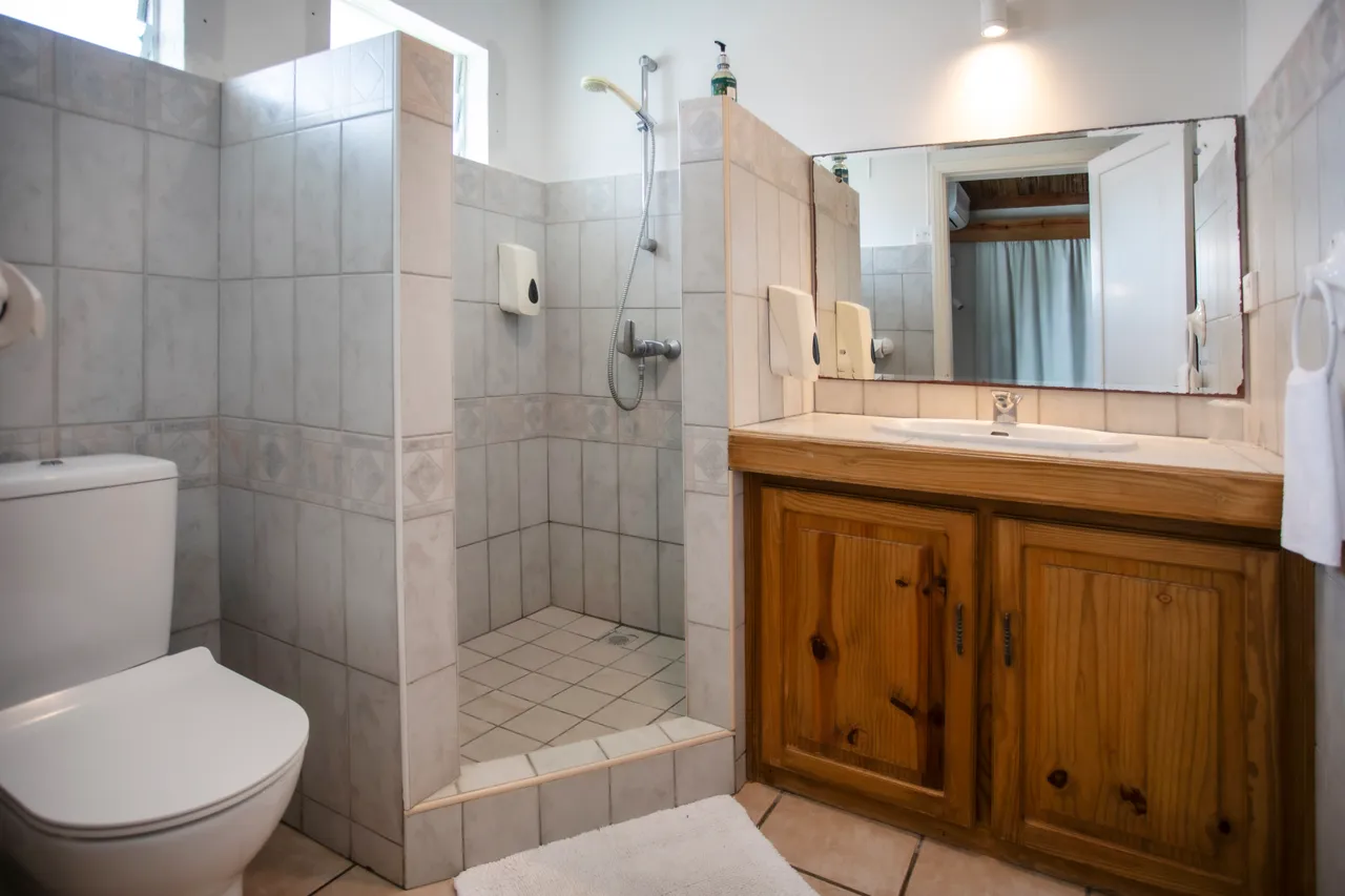 Salle de bain avec douche spacieuse et meuble en bois. Carrelage et murs en faïence claire. Éclairage fonctionnel et accessoires pratiques.