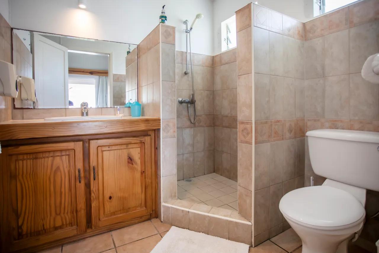 Carrelage clair et bois naturel, salle de bains avec douche spacieuse. Éléments en bois, lavabo intégré et fenêtre.