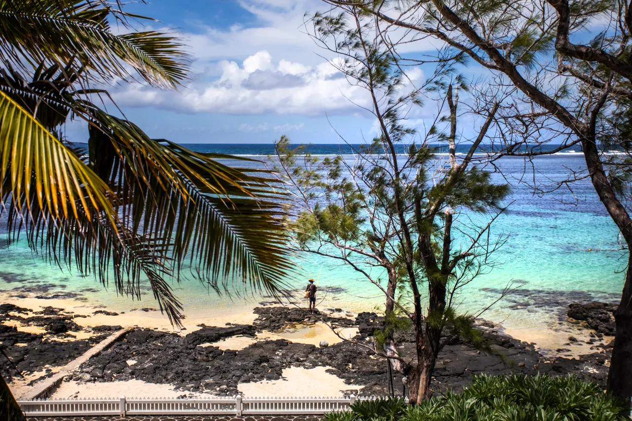 Plage accessible depuis le jardin, avec vue sur l'eau cristalline. Palmiers et rochers créent un cadre naturel.