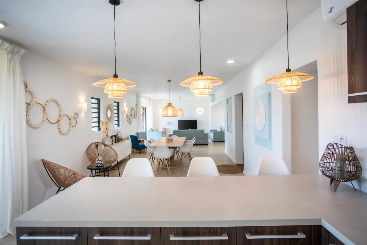 Tons neutres des murs et luminaires créant une atmosphère lumineuse.  
Espace ouvert reliant salon et salle à manger pour des moments conviviaux.  
Mobilier contemporain ajoutant une touche moderne à l'intérieur.  
Éclairage suspendu en osier apportant une chaleur à l'espace de vie.  
Plan de travail en pierre offrant une surface pratique et esthétique.