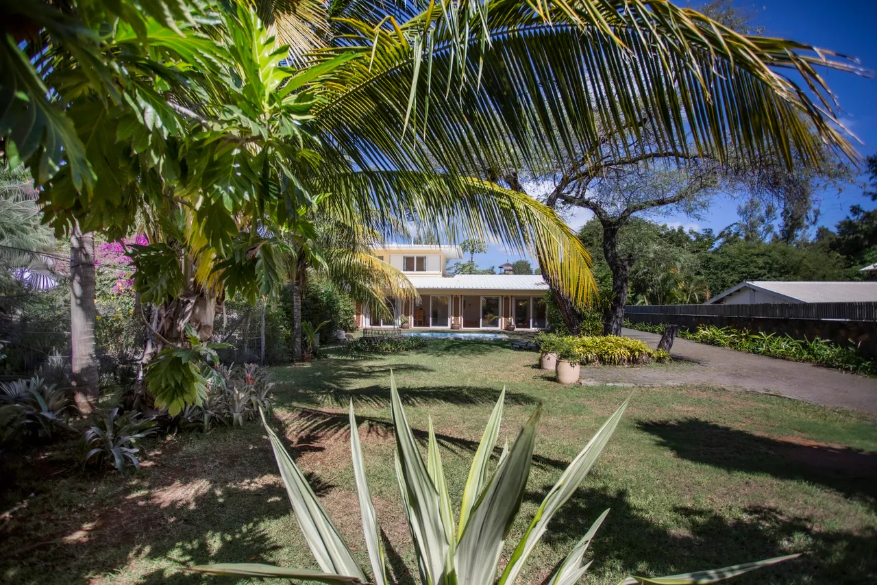 Bungalow entouré de verdure avec un accès direct à la plage. Palmier créant de l'ombre près de la maison.
