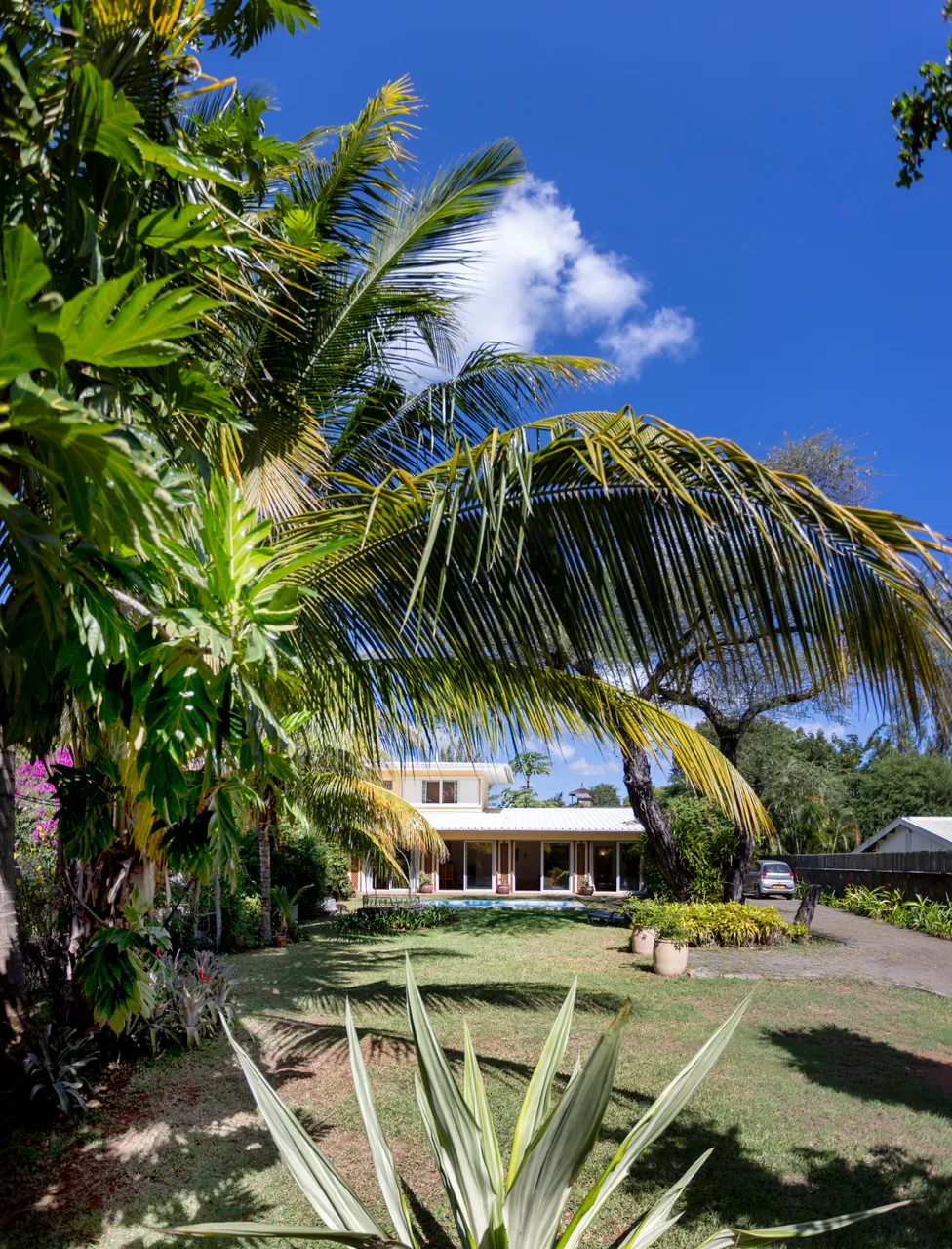 Bungalow entouré de verdure, offrant un accès direct à la plage. Grandes fenêtres apportent luminosité à l'intérieur. Palmier et plantes tropicales ajoutent une touche naturelle au jardin.
