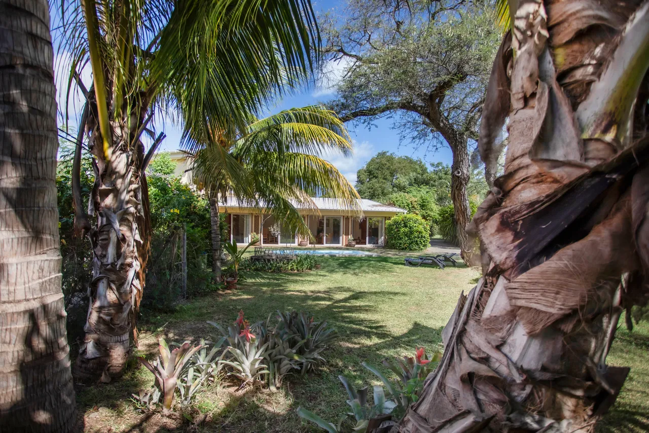 Vue dégagée sur le bungalow depuis le jardin, entouré de palmiers. La piscine est visible à l'arrière, ajoutant un élément de détente. L'espace extérieur est agrémenté de plantes tropicales.