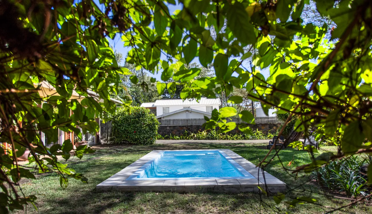 Teintes vertes dominent l'espace extérieur, mettant en valeur la piscine. Le jardin est agrémenté de plantes tropicales ainsi que de coins ombragés. Le bungalow est visible à travers les feuillages, offrant une atmosphère paisible.