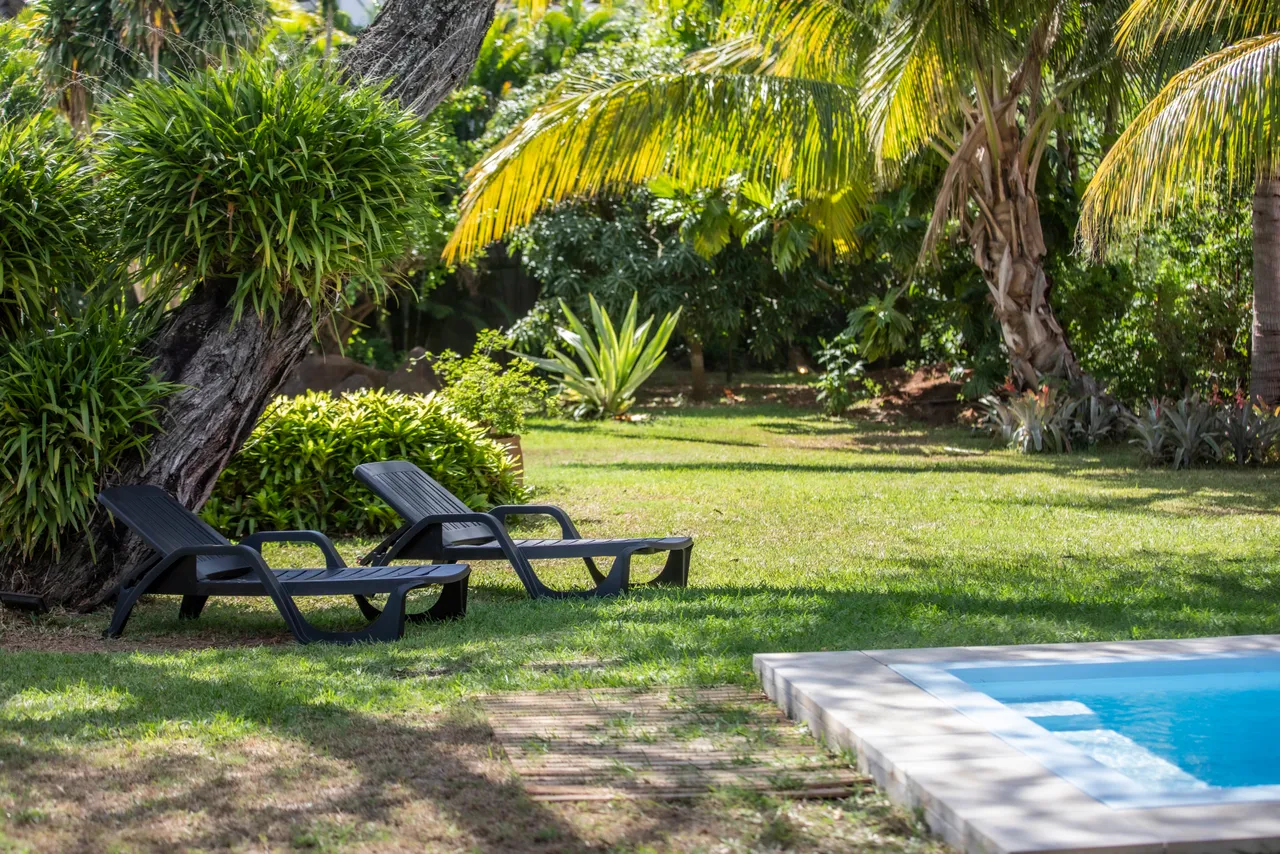 Chaises longues noires en plastique au bord de la piscine, sur une pelouse bien entretenue. Des palmiers offrent de l'ombre et de la verdure alentour.