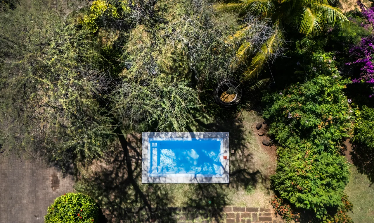 Piscine entourée d'arbres et de plantes tropicales. Un chemin en dalles mène à l'eau.